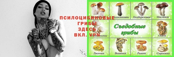 первитин Арсеньев