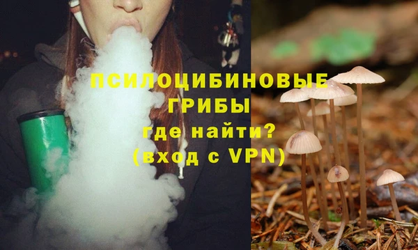 соль курить ск Алексин