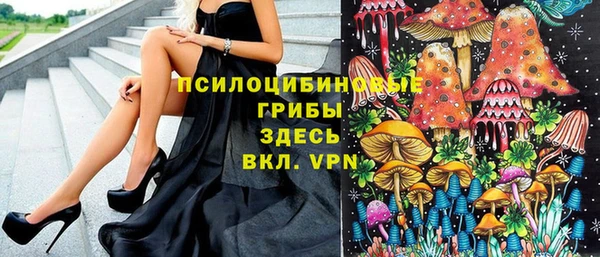 первитин Арсеньев